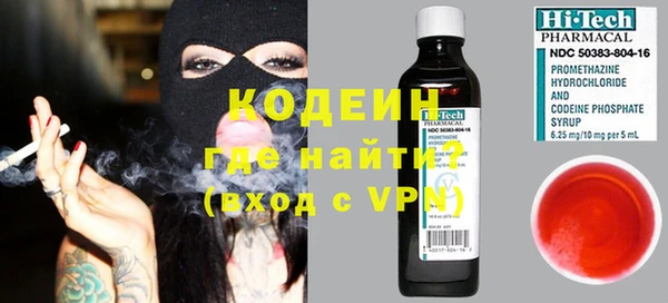 крисы Каменка