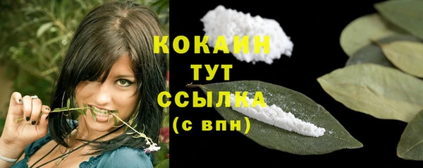 крисы Каменка