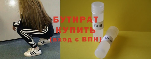 крисы Каменка