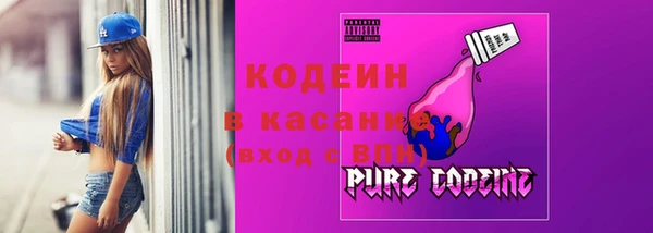 крисы Каменка