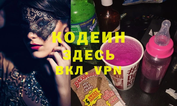 крисы Каменка