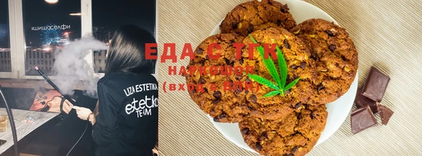 крисы Каменка