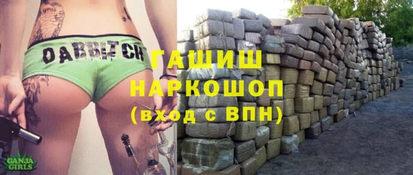 крисы Каменка