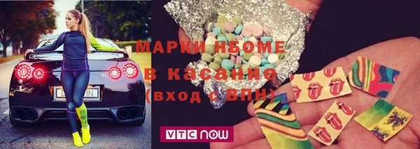 крисы Каменка