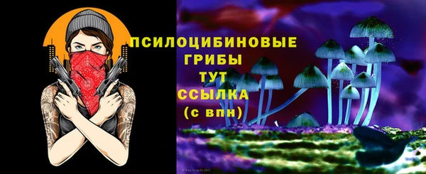 2c-b Инсар