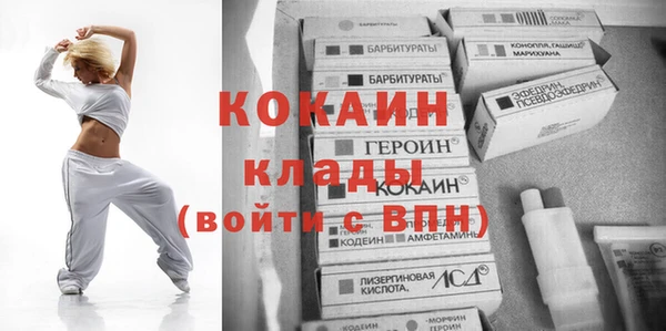 крисы Каменка