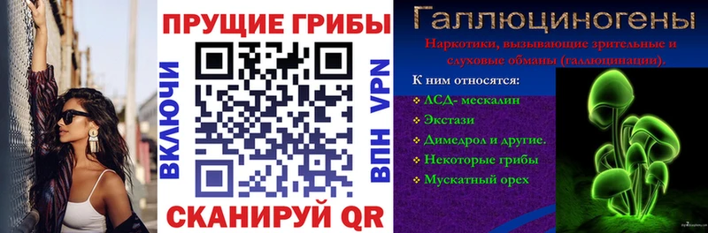Галлюциногенные грибы Cubensis  Купить закладки  Питкяранта 